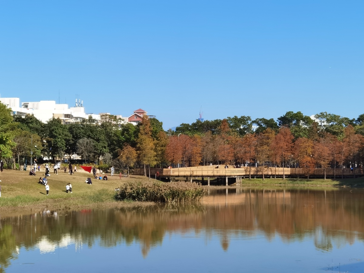 深圳莲花山公园,莲花山公园山顶广场图片,深圳打卡网红景点 - 沐风