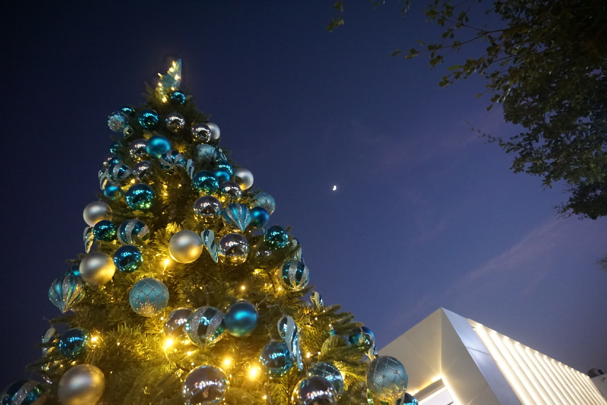 圣诞街景,圣诞夜景街道,街上的圣诞节气氛