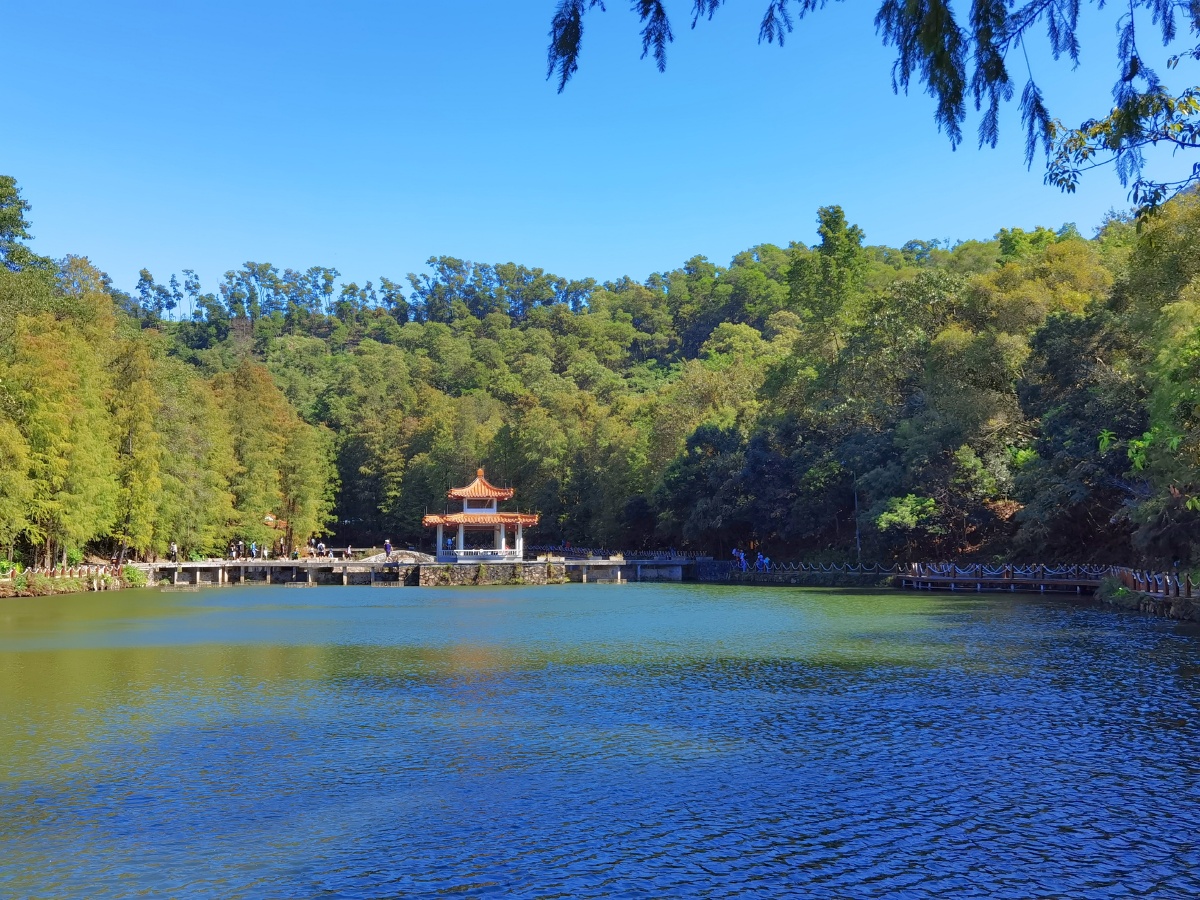深圳仙湖植物园眺绿野漫漫赏百花争艳湖光山色世外桃源