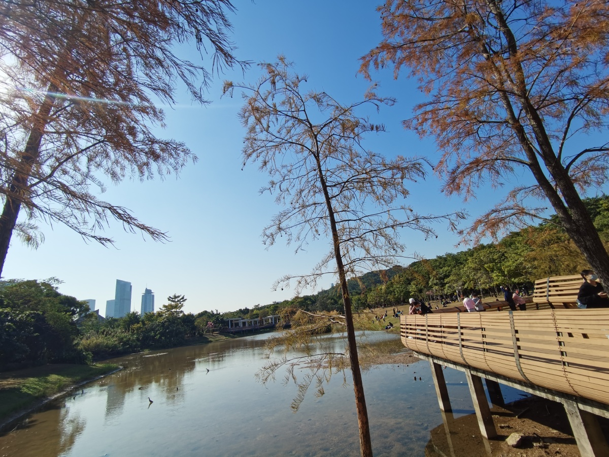 湖边风景公园湖边美景图片