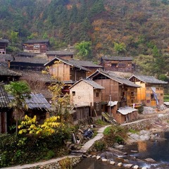 R0010088