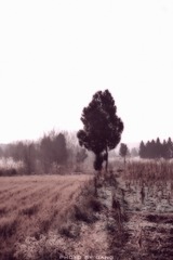 3670BCC3-7C08-4AE8-9334-397B75A5B45B/L0/001