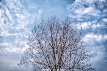 FE6290E2-D022-44F2-836E-B9B5C3D2BDE9/L0/001