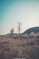 F3119958-6CA2-4B1E-9B4E-BC3BD0D10A07/L0/001