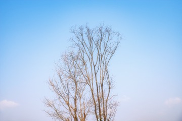 E60EC1A8-BA4C-4770-AA32-AB7BA8EE6911/L0/001