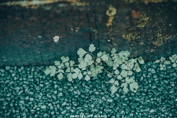 C0DD4F8A-64A6-4079-B02D-AC5552753825/L0/001