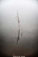 ACF1E753-9E27-4C18-BF6A-F738018B4A22/L0/001