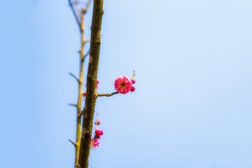 6CF8C27E-E289-4958-AD24-E613165588C0/L0/001