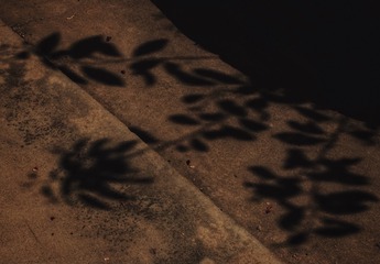 B7B362C3-CF91-4739-A639-8F968C369F14/L0/001