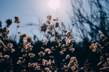 564