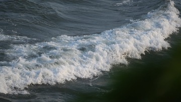 AF4F8609-BA98-4149-9355-8A95AFDFB458/L0/001