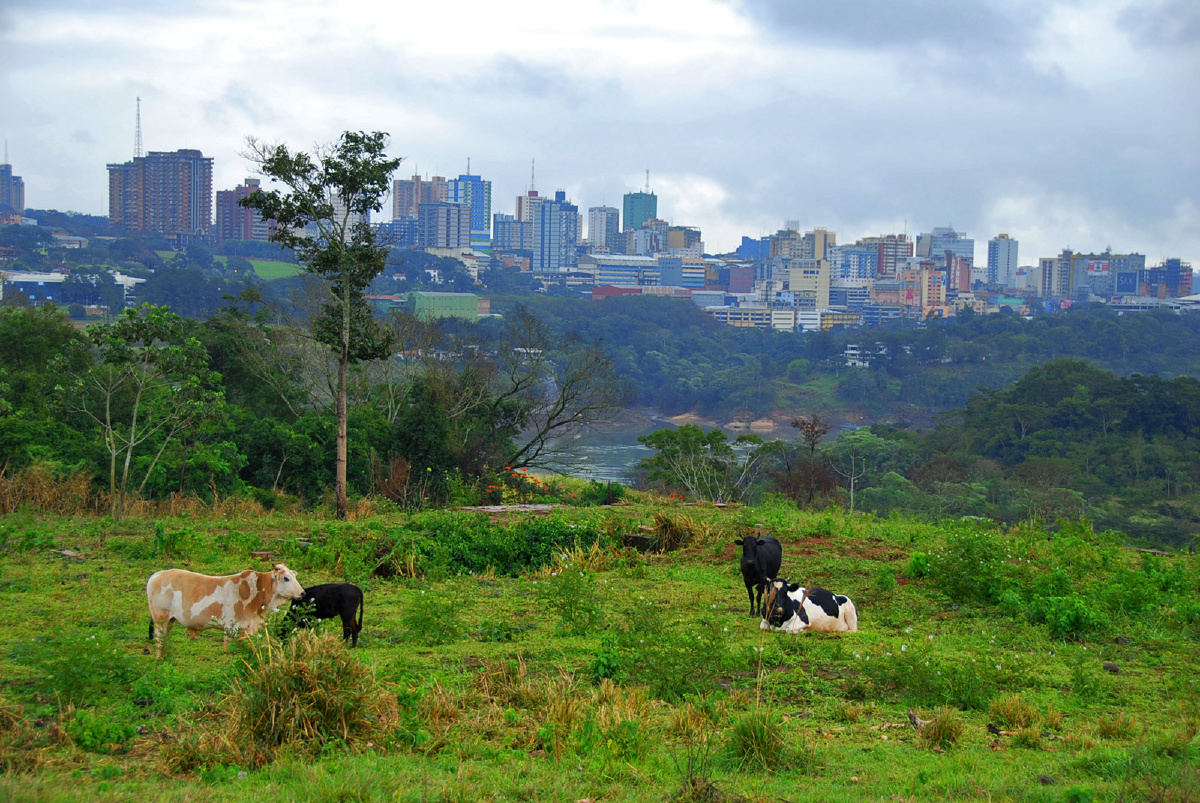 遥望巴拉圭