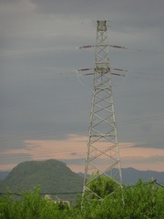 778629