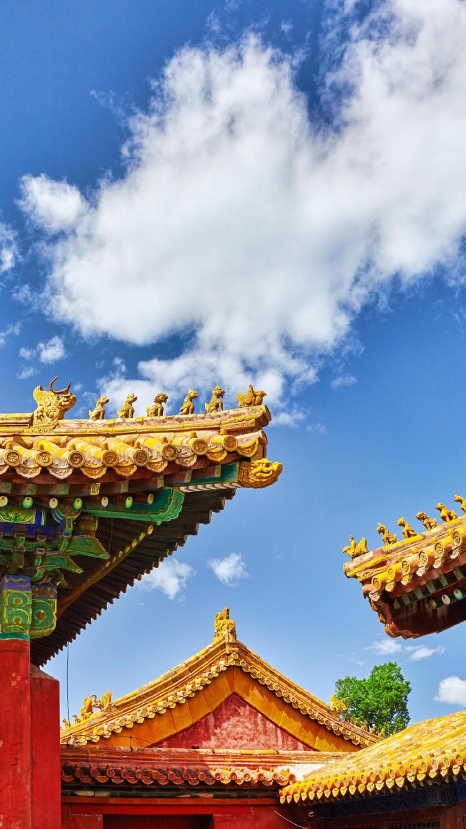 都是非常清晰的照片有没有喜欢的看好的带回家