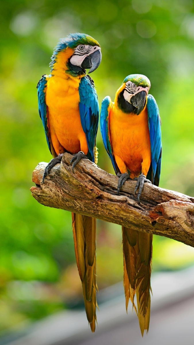 都是非常清晰的照片有没有喜欢的看好的带回家