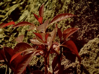 10447C63-215F-4089-89A3-81F624F63D70/L0/001
