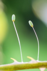 2B79CB3B-71D7-45BC-97C3-0BD9A5B1ECA9/L0/001