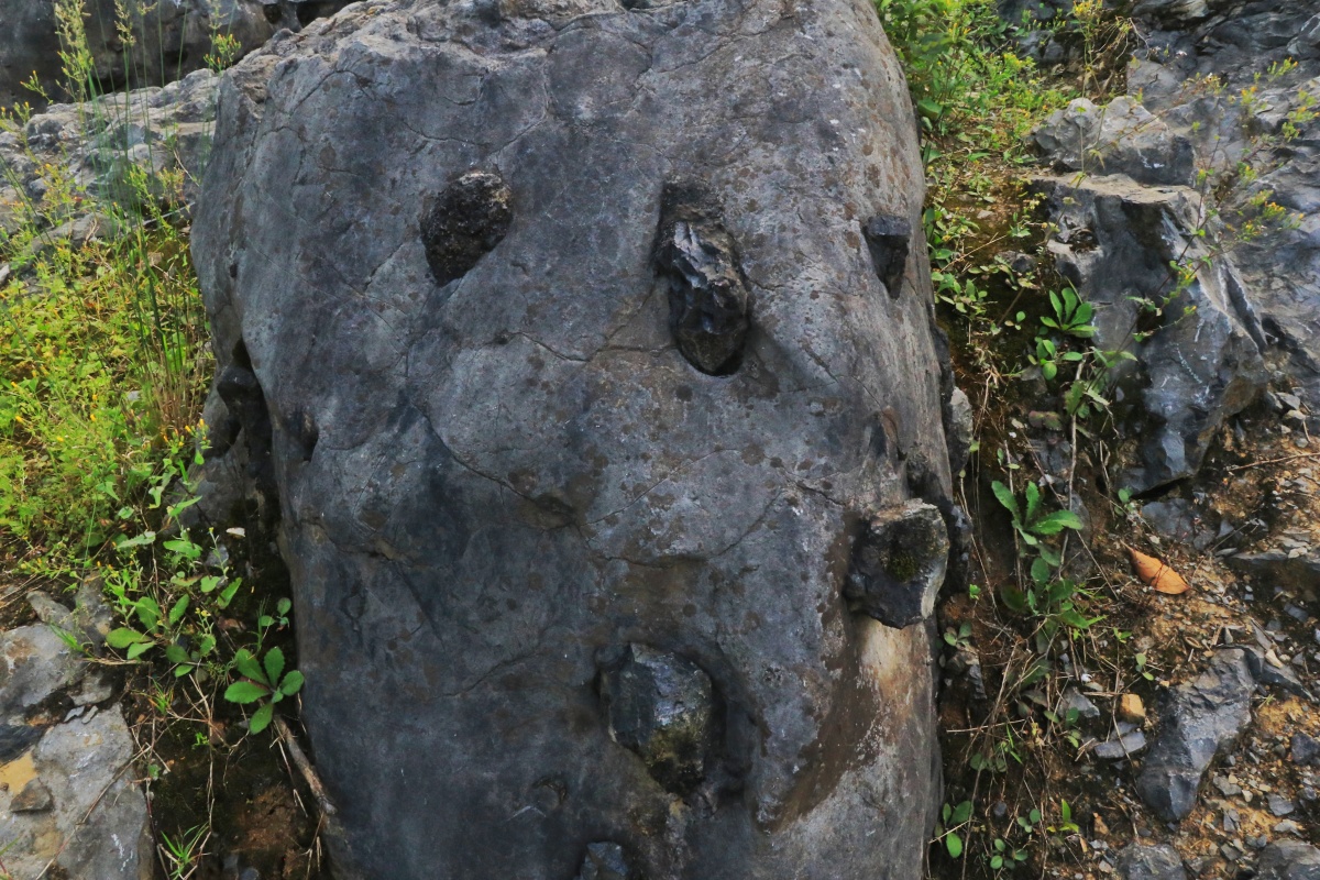 石头上面长石头