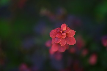 60211E96-4C0C-4744-B615-50AE7069328F/L0/001