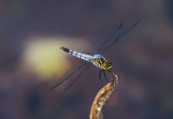 D1CB9248-0282-454F-840A-EAD7FB80269F/L0/001