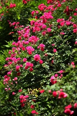 DB598EA7-5AD6-44CC-ABBC-9523D4E67D97/L0/001