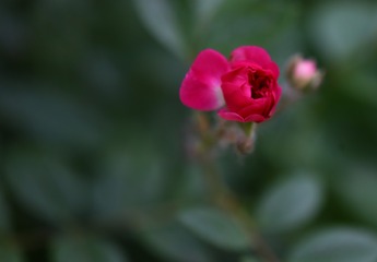 10655A20-1B40-4E61-B8F8-3D40225FC562/L0/001