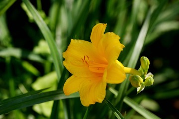 45655D7C-B2F5-4247-B211-6E8C6673F3A4/L0/001