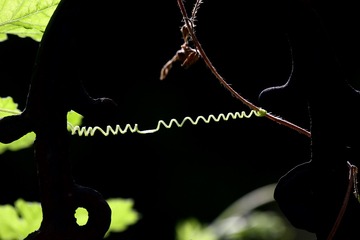 A69F8DC7-5887-43D2-9687-1FA3D8D43516/L0/001