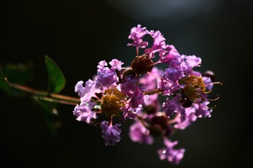 77B7C929-1472-40CE-B13C-53D0F5934651/L0/001