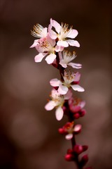 CA3F12E3-60EB-4A68-AB94-984871E86550/L0/001