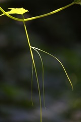 25677E98-5918-4649-936F-5D3D148F94FE/L0/001