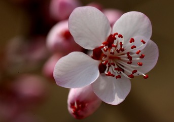 E682586B-DB97-4544-BC1E-C7D5F812AD57/L0/001