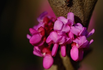 BEC5815F-61F9-421A-8C6F-FC77BEB3F7FB/L0/001