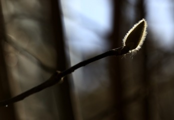 B057D4FF-891A-4B6C-97F5-1D7BB4D45DF6/L0/001