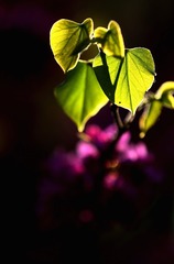 2BF6B367-65B0-4632-A542-6F08075219A9/L0/001