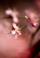 636CC0F5-C5A2-4242-9A1F-89FA6ED76121/L0/001