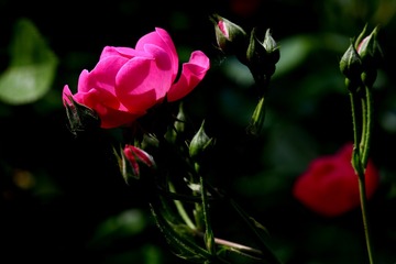 7B7ACAB5-F255-40C0-9F5F-2A70A59D0571/L0/001