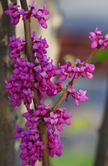 632B9EF4-88D0-4683-87DC-67F8B59A9340/L0/001