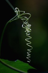 7CA57B23-E0F3-45A2-9E3C-1D93539CDAA5/L0/001