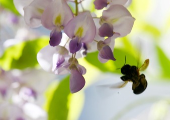 F714552E-31C8-4301-A20D-BB201BD8F637/L0/001