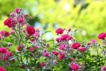AD2C16AE-F2B1-42E3-94E0-C98BF111F2BD/L0/001