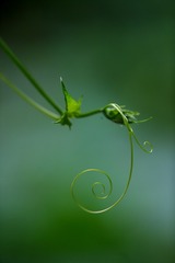 4C887525-A81F-484C-ADF5-7400A4A309D1/L0/001
