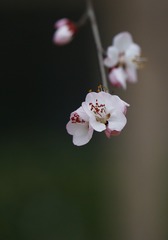 3E336F07-6E8C-40CA-AE62-D35DD7B51075/L0/001