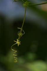 67CE2EF7-150F-4F9E-B538-7D273658B6E1/L0/001