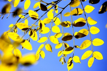 7F0EF8AA-F551-47BD-B6AB-D81F9480E18C/L0/001