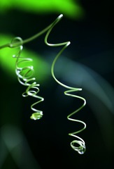 344375B8-3D89-4543-A651-A500138A1425/L0/001