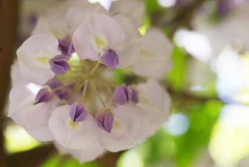 7434173E-9D15-47EB-9FAF-17D36085F047/L0/001