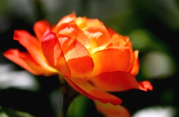 7C20D70C-CF3F-4D6B-833C-0D3998A8E3E4/L0/001