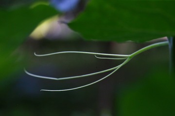 764A1FAE-CF95-4CED-A745-A5EE947A15A3/L0/001