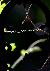 6E73D78C-A83F-48ED-9376-6A83D783300A/L0/001